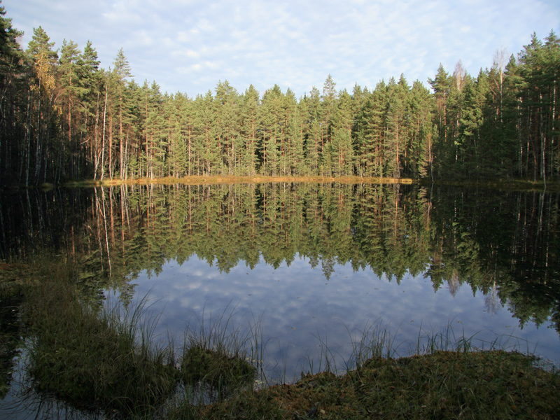 Erämaalampi Nuuksiossa