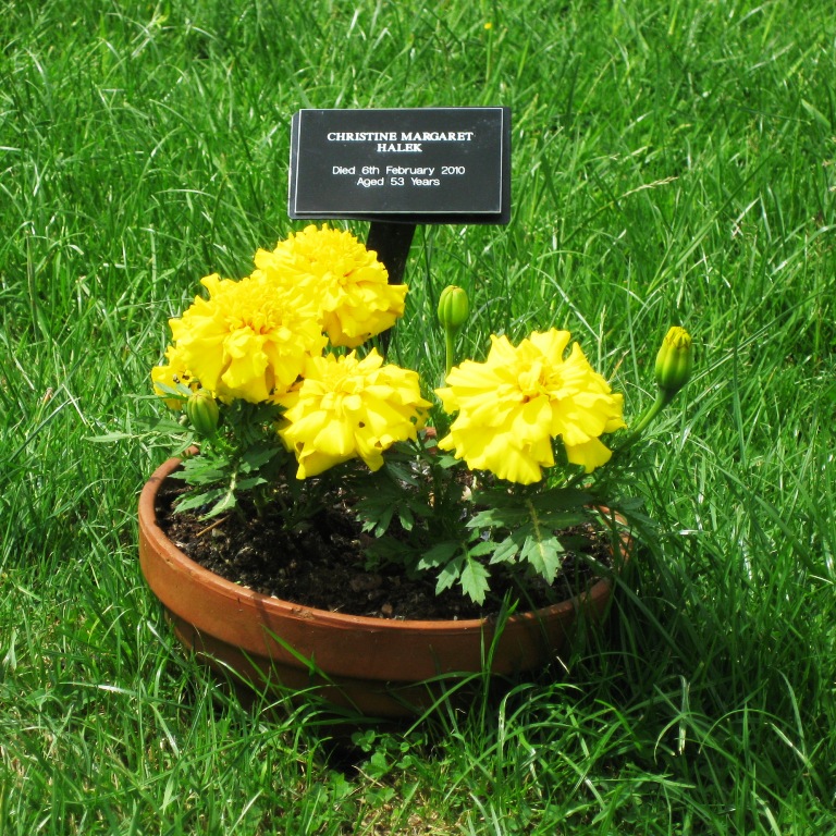 My friends grave (still waiting for stone)