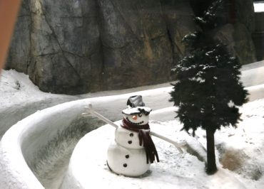 Lumiukko Dubaissa (lumi on ihan oikeaa!)