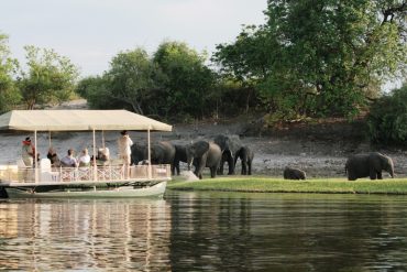 Chobe