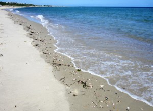 Klikkaa kuvaa nähdäksesi Nantucketin kuvat!