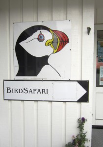 BirdSafari