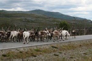 Klikkaa kuvaa nähdäksesi Nordkappin kuvat
