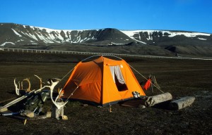 Pohjoisia linturetkiä