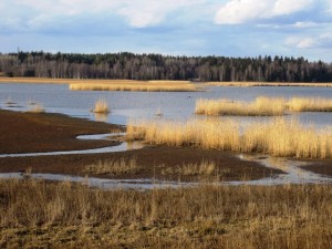 4. sija ikäryhmäni naisissa Suomessa maabongarina
