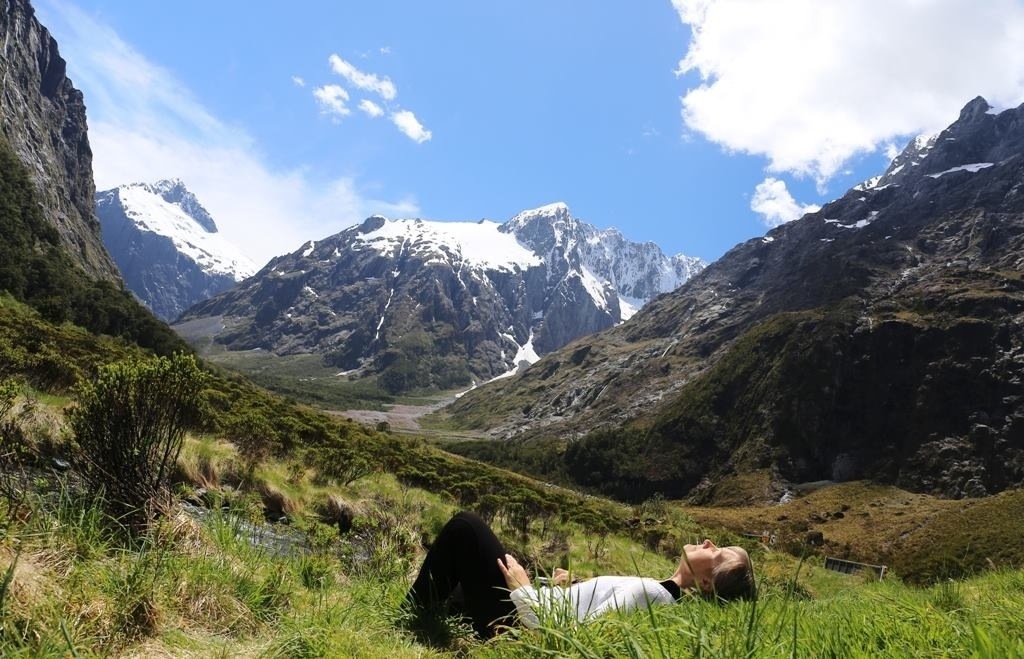 Pingviinejä bongaamassa