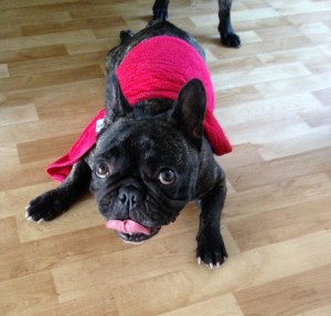 Vuosi 2013 blogissamme