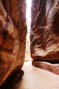 Joeksi muuttunut kävelytie