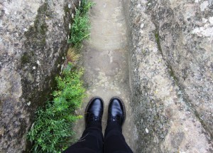 ???????????????????????????????