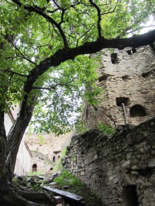 ???????????????????????????????