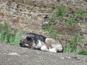 ???????????????????????????????