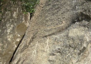 ???????????????????????????????