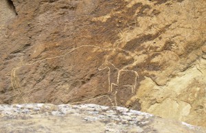 ???????????????????????????????