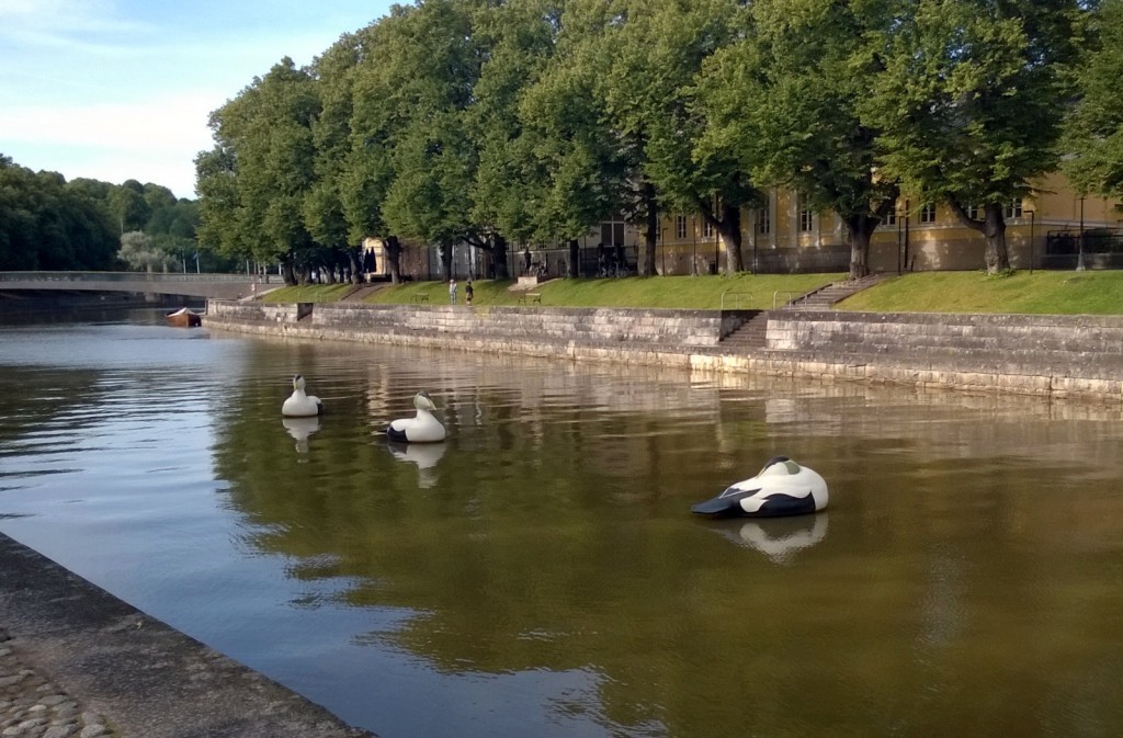 WP_20140817_10_34_17_Pro