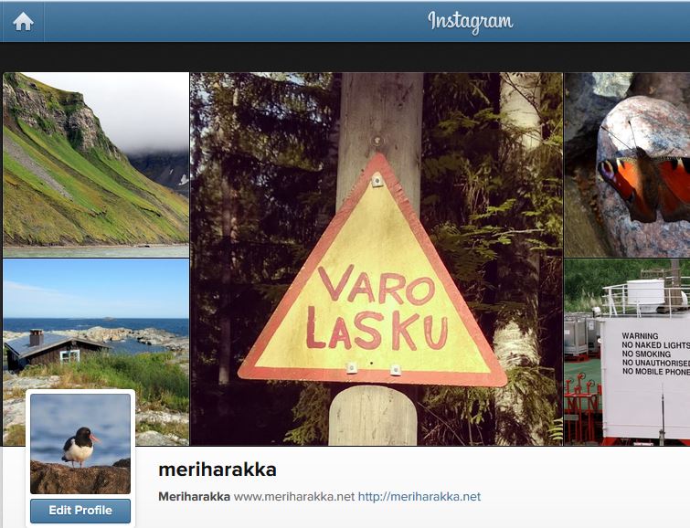 Meriharakka Instagramissa ja Twitterissä