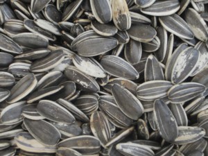 ???????????????????????????????