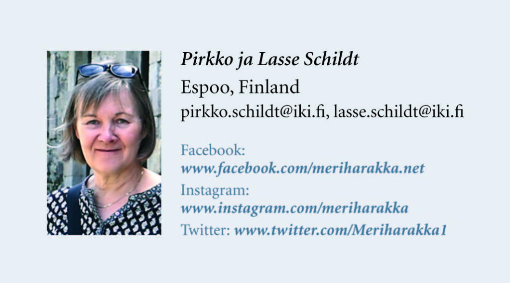 Meriharakka kayntikortti s2