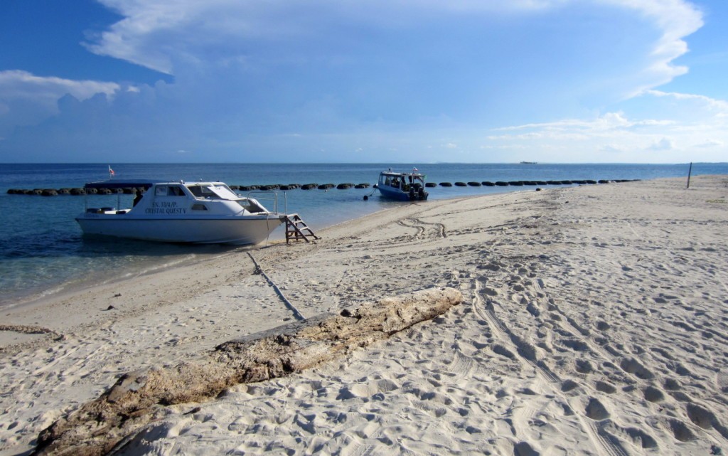 Turtle Island Selingan Island Malaysia
