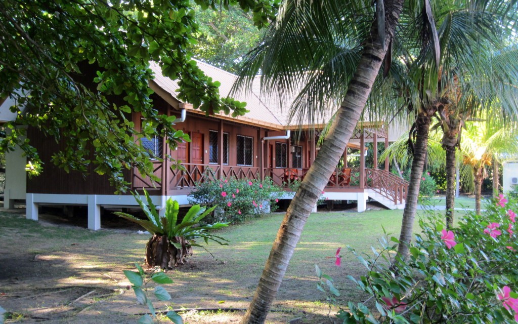 Turtle Island Selingan Island Malaysia