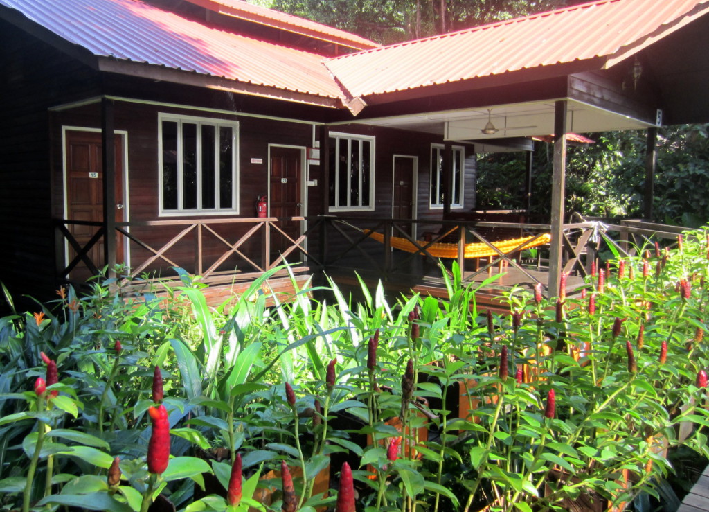 Kinanabatang river lodge