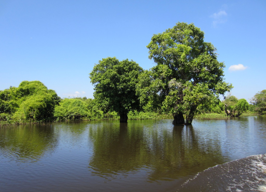Tonle Sap -järvellä