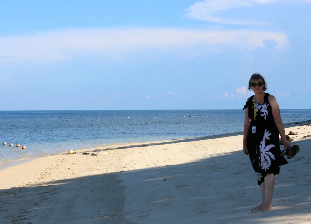 Turtle Island Selingan Island Malaysia