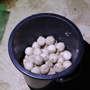 Turtle Island Selingan Island Malaysia