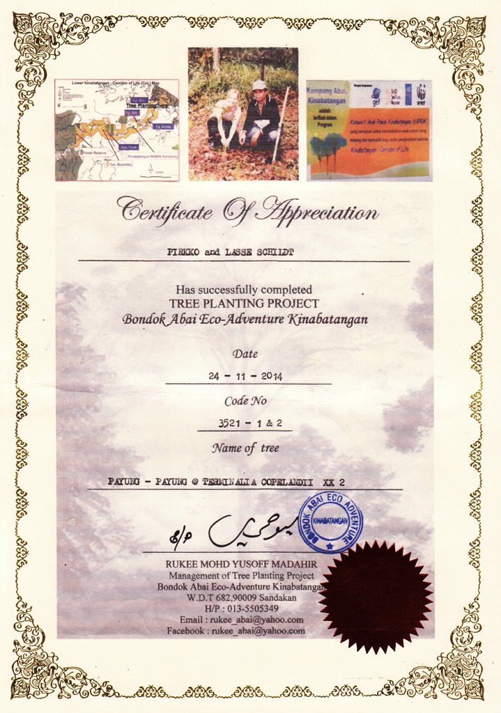 Kinabatang river tree planting