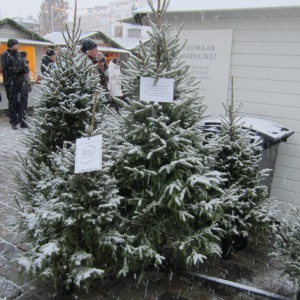 Joulu Helsinki Tuomaan Markkinat