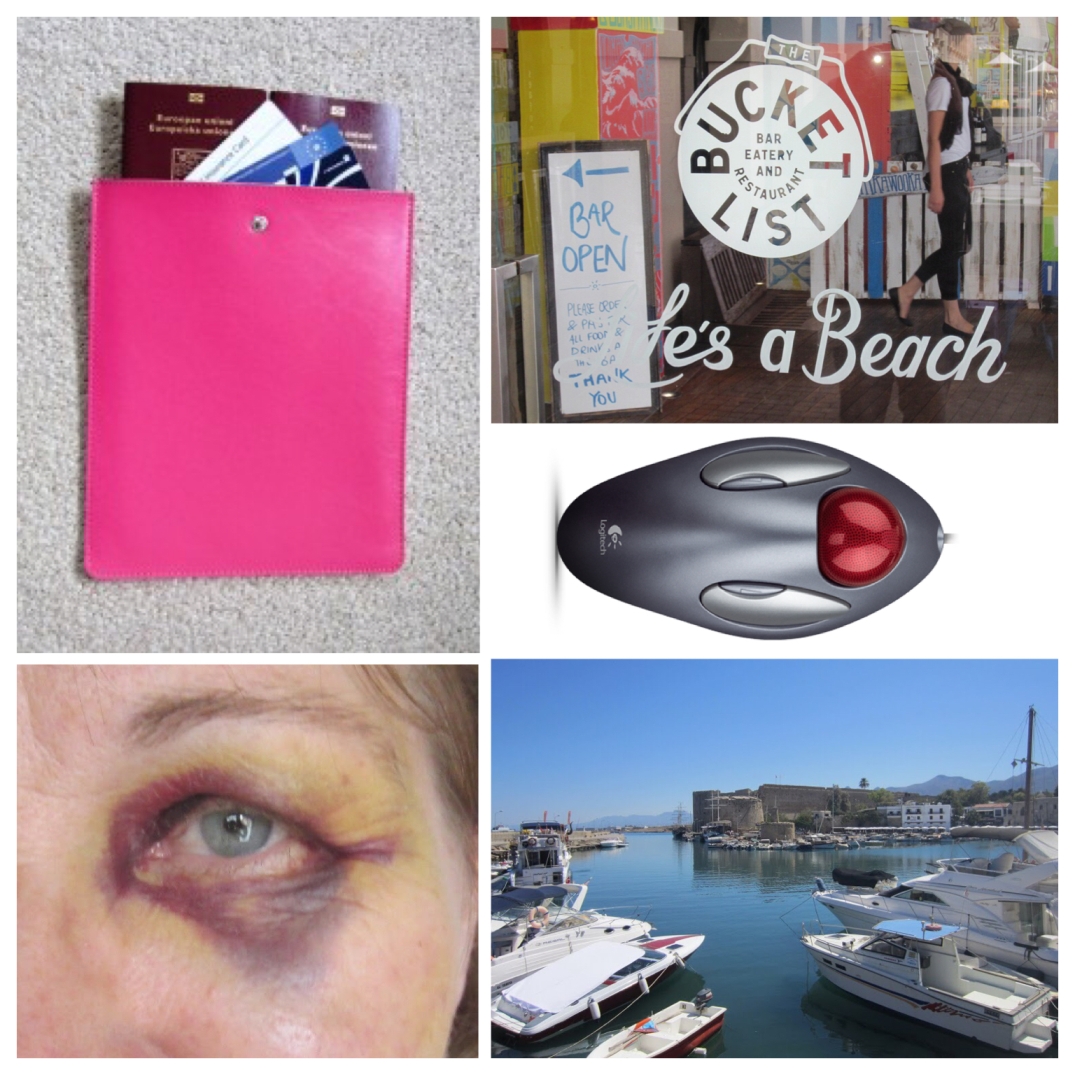 Vuoden 2013 suositut artikkelit vielä 2014 Meriharakka suosituimmat 2013