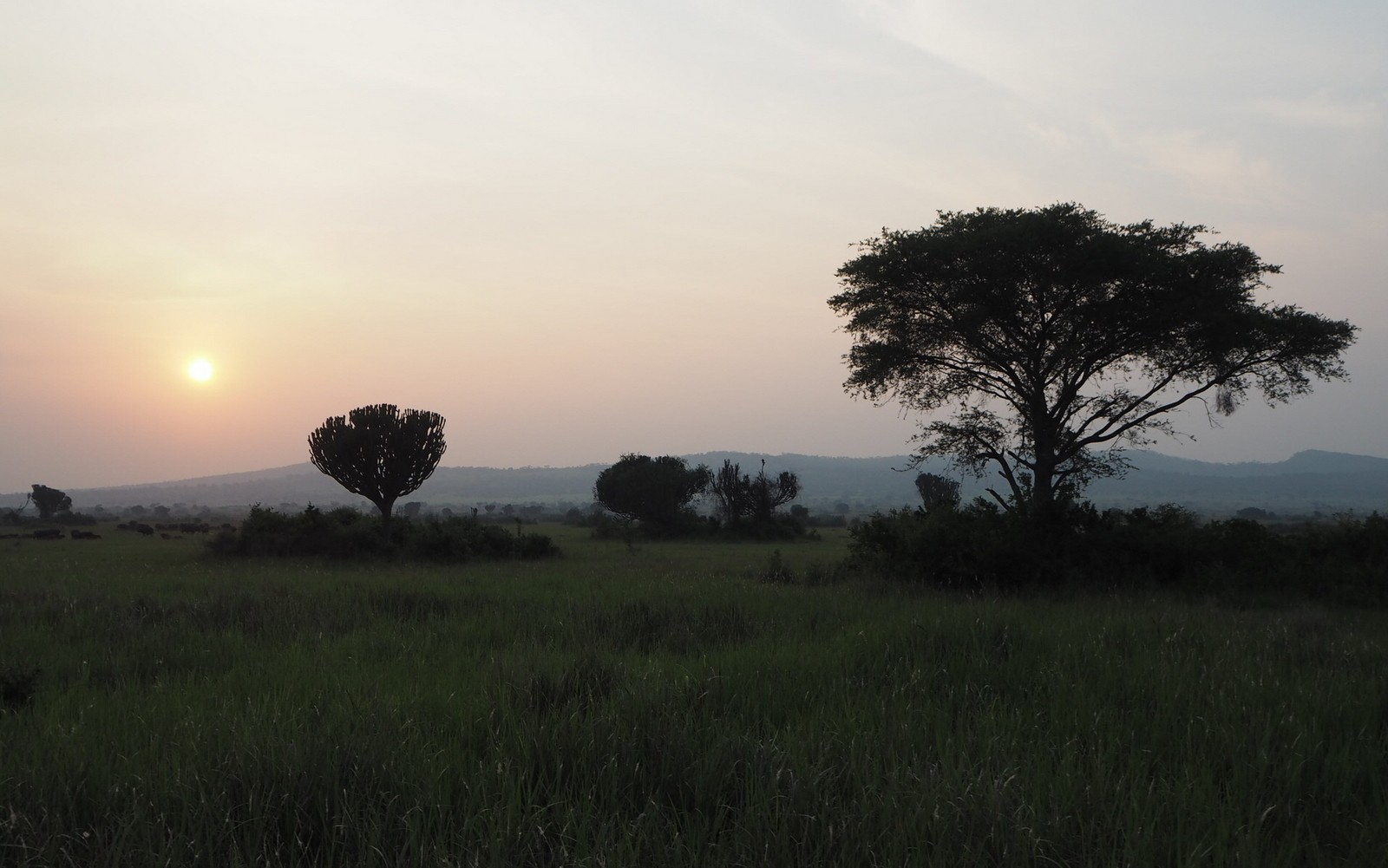 Queen Elizabeth Uganda