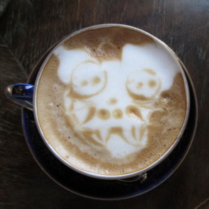 Kissakahvila Purnauskis Tampere