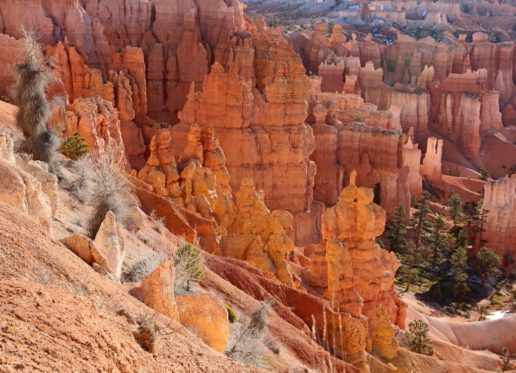 Bryce Canyon