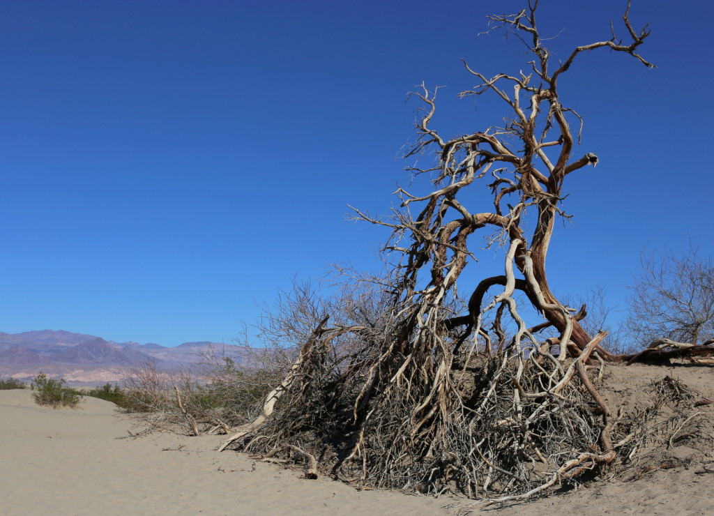 Death Valley California