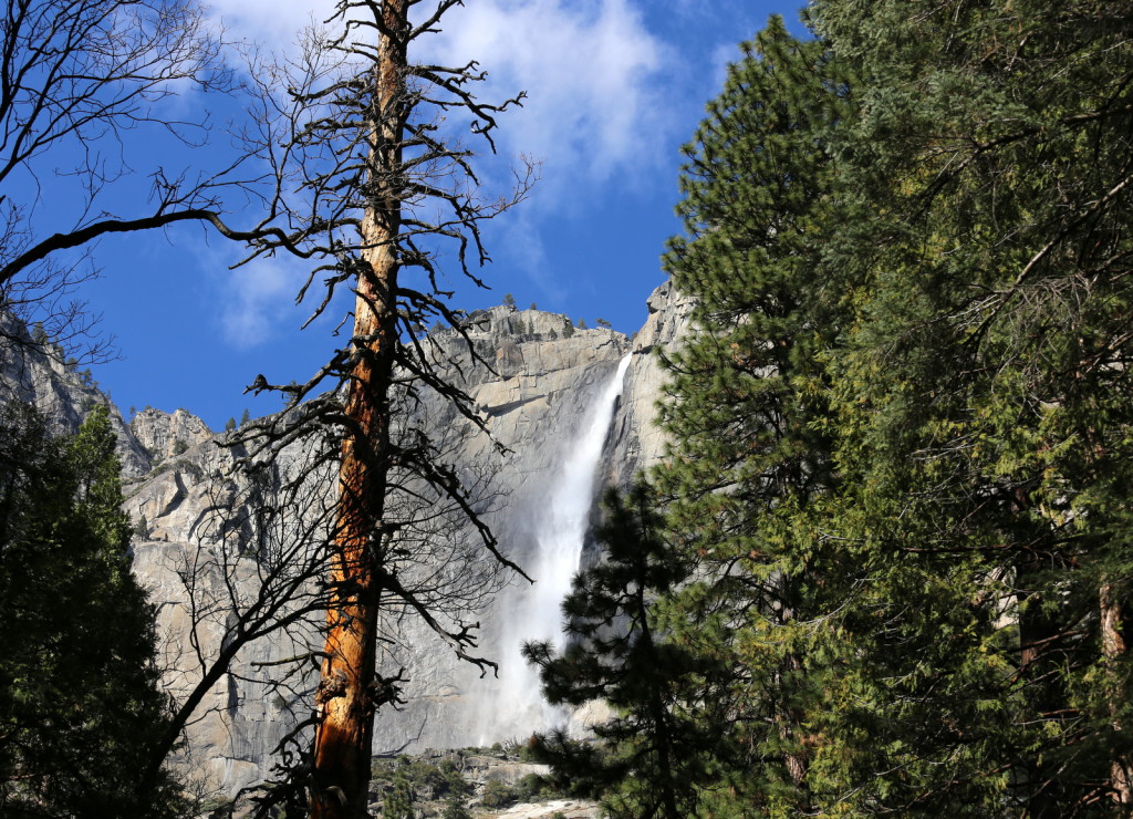 Yosemite waterfalls
