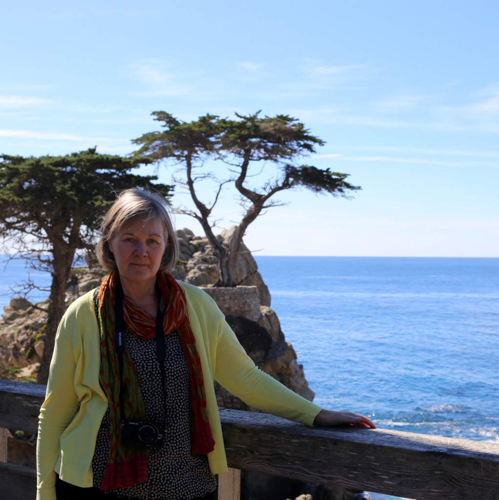 17-Mile Drive The Lone Cypress