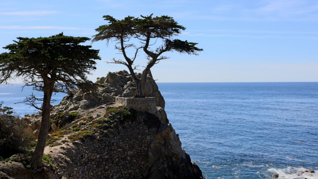 17-Mile Drive The Lone Cypress