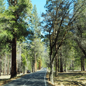 Yosemite