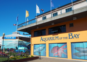 San Francisco Pier 39