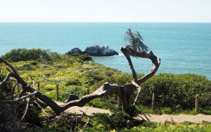 San Francisco Lands End