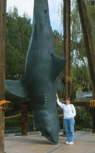 Universal Studios Los Angeles