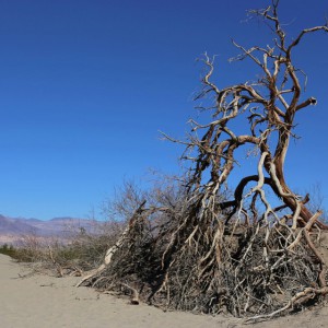 Death Valley