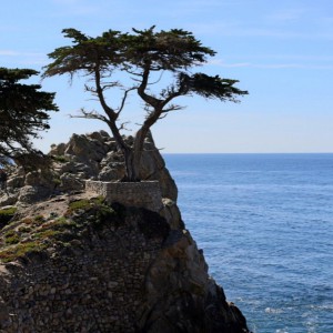 17 Mile Drive