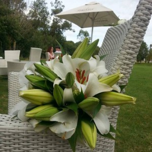 Wedding South Africa