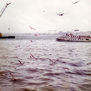 Lisnave ja Tejo 1973