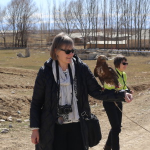 Haukka Issyk-Kul Kirgiisia Haukka Issyk-Kul Kirgiisia