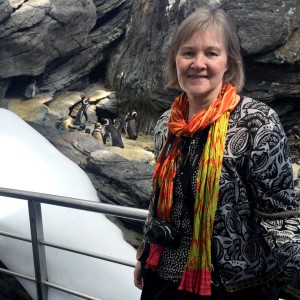 Pingviinit Oceanario Lissabon Portugal Pingviinit Oceanario Lissabon Portugal