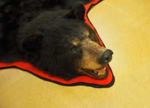 Serlachius Malli ja hullu kuvailija Ala-Harja