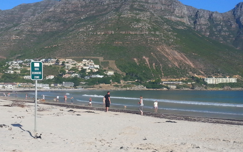 Cape Town beach life