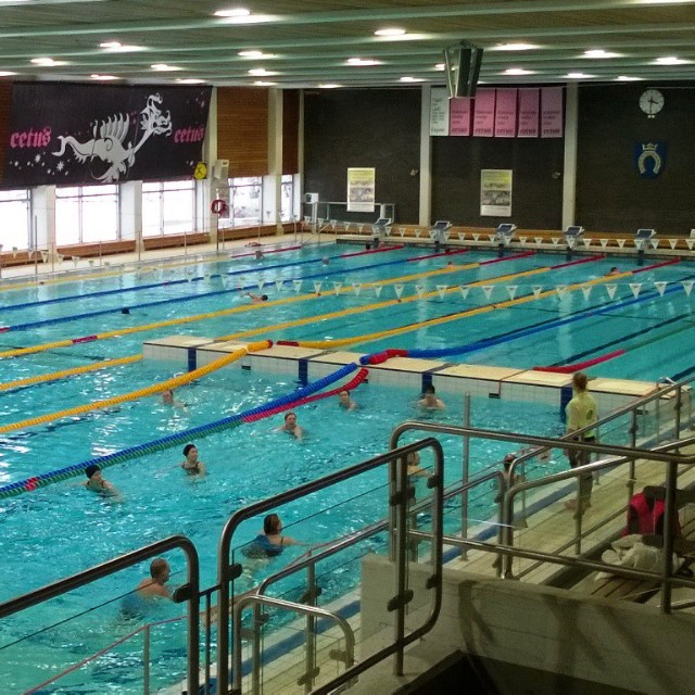 Vesitreeni Espoonlahden uimahallissa